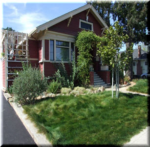 Lawn Alternatives